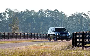   Cadillac Escalade - 2014