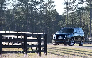   Cadillac Escalade - 2014