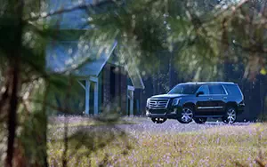   Cadillac Escalade - 2014