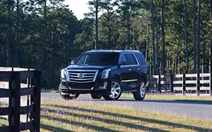   Cadillac Escalade - 2014
