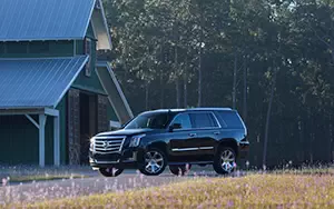   Cadillac Escalade - 2014