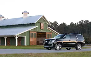   Cadillac Escalade - 2014