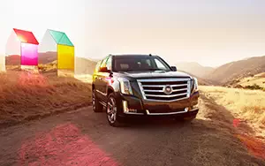   Cadillac Escalade - 2014