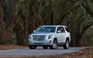   Cadillac Escalade - 2014