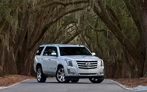   Cadillac Escalade - 2014