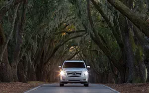   Cadillac Escalade - 2014
