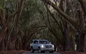   Cadillac Escalade - 2014