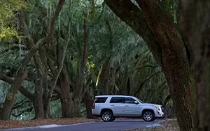   Cadillac Escalade - 2014