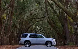   Cadillac Escalade - 2014