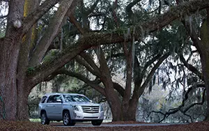   Cadillac Escalade - 2014