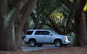   Cadillac Escalade - 2014