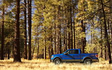   Ford F-150 FX4 - 2009