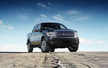   Ford F-150 Platinum - 2009