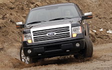   Ford F-150 Platinum - 2009