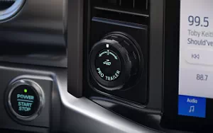   Ford F-150 Lightning Pro - 2021