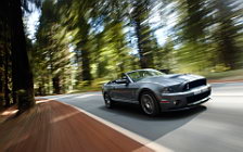   Ford Mustang Shelby GT500 Convertible - 2010