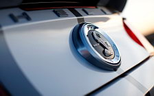   Ford Mustang Shelby GT500 Convertible - 2010
