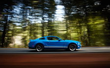  Ford Mustang Shelby GT500 - 2010