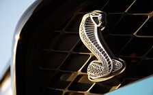   Ford Shelby GT500 - 2012