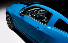   Ford Shelby GT500 - 2013