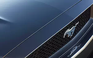   Ford Mustang GT Convertible - 2014