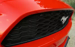   Ford Mustang EcoBoost - 2015