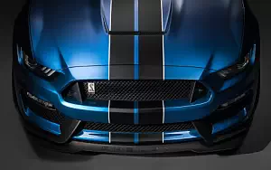   Shelby GT350R Mustang - 2015