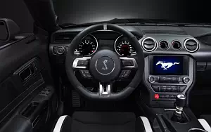   Shelby GT350R Mustang - 2015