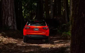   Jeep Compass Trailhawk - 2017