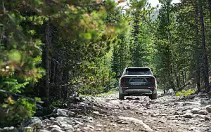 ���� ���������� Kia Sorento X-Line US-spec - 2020