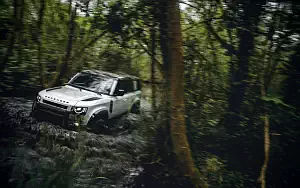 ���� ���������� Land Rover Defender 110 Country Pack First Edition - 2020