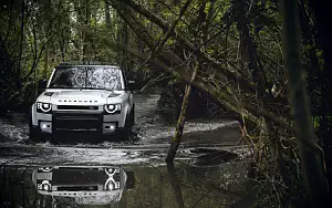 ���� ���������� Land Rover Defender 110 Country Pack First Edition - 2020