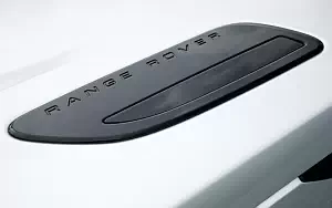 ���� ���������� Range Rover Velar R-Dynamic D300 HSE Black Pack - 2017