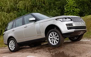 ���� ���������� Range Rover Vogue - 2013