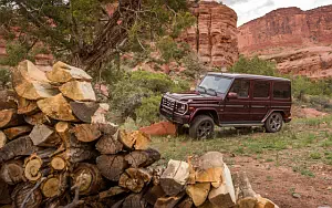   Mercedes-Benz G550 US-spec - 2016