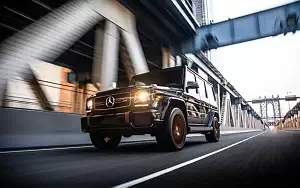   Mercedes-AMG G 65 Final Edition US-spec - 2018