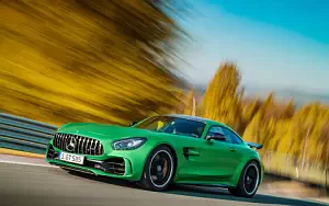   Mercedes-AMG GT R - 2016