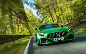   Mercedes-AMG GT R - 2016