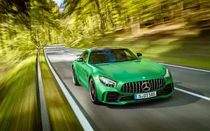   Mercedes-AMG GT R - 2016