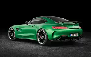   Mercedes-AMG GT R - 2016