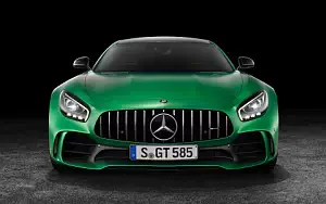   Mercedes-AMG GT R - 2016