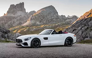   Mercedes-AMG GT Roadster - 2016