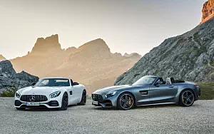   Mercedes-AMG GT Roadster - 2016