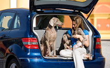   Mercedes-Benz B170 NGT 2008