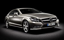   Mercedes-Benz CLS-class - 2010