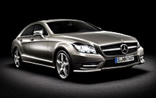   Mercedes-Benz CLS-class - 2010