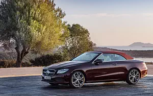   Mercedes-Benz E 400 Cabriolet 25th Anniversary - 2017