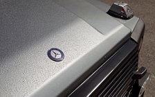   Mercedes-Benz G-class Professional - 2012