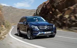   Mercedes-Benz GLE 250 d 4MATIC - 2009