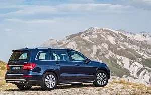   Mercedes-Benz GLS 350 d 4MATIC - 2009
